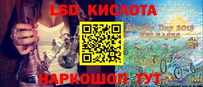 индика Сланцы