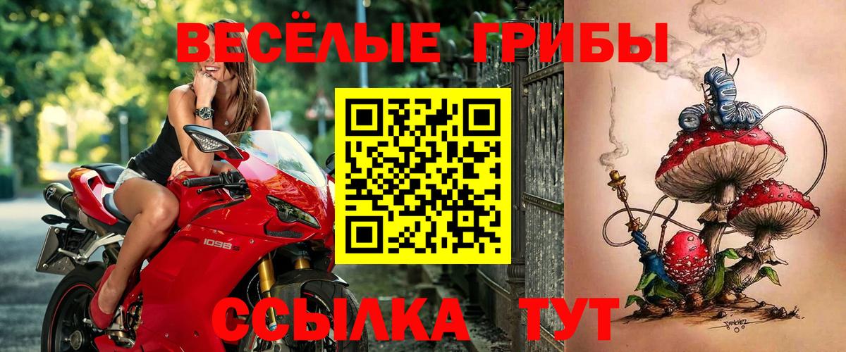 Сатка  Псилоцибиновые грибы Magic Shrooms  Вход с VPN  цена   Псилоцибиновые грибы MAGIC MUSHROOMS 